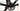 Specialized Roubaix 2021 - Shimano Tiagra - Axis Elite Aluminium