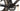 Orbea Ordu M30 2015 - Shimano 105 - Carbon