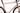 Specialized Tarmac SL8 Di2 12V 2023 - Shimano Ultegra Di2 - Roval C38