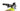 Cannondale Moterra Neo Carbon LT 1 2024 - Shimano XT - WTB ST