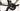 Canyon Endurace CF SLX 7 2024 - Shimano 105 Di2 2x12sp - DT Swiss ERC 35