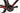 MMR Adrenaline SL 2021 - SRAM Force AXS 2x12sp - DT Swiss PRC1400