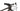 Specialized Epic Expert 2018 - SRAM GX - Roval