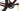 Trek Checkpoint SL7 2021 - SRAM XX1 AXS 1x12sp - Bontrager Aeolus Pro 3V