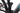 Conway Xyron S 7.9 2024 - SRAM GX AXS 1x12sp - Black Jack 35