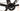 Cervelo Soloist 2024 - SRAM Rival AXS - Fulcrum Racing