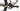 Orbea OIZ M10 2020 - Shimano XTR - DT Swiss XR-1650 Spline 25c TLR CL, Star Ratchet, Boost