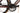 Orbea Orca Aero M10iLTD 2025 - Shimano Dura-Ace Di2 2x12sp - Zipp 353