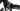 Scott Solace 20 2020 - Shimano Ultegra 2x11sp - DT Swiss P1850