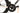 Mendiz F12 Di2 12V 2025 - Shimano Dura-Ace Di2 2x12sp - Deda SL