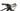 Scott Spark RC Comp 2021 - SRAM GX - Syncros X25