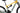 Rocky Mountain Altitude 50 2025 - Shimano XT - WTB ST i30