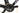 Stevens Izoard Pro 2023 - Shimano Ultegra Di2 2x12sp - Fulcrum Racing