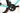 Bianchi Specialissima CV 2025 - Shimano Dura-Ace Di2 2x12sp - Reparto Corse 50R