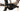 Conway Cairon C 429 2021 - Shimano Deore - Mach1 MAXX Disc