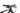 BH Lynx Race Carbon RC 7.0 2021 - Shimano XT - EVO