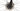 Cannondale SuperSix EVO CX 2024 - SRAM Force - DT Swiss R470