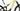 Focus Jam 2 8.8 SL - Shimano XT - RaceFace AR30