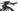 Mendiz T110 2025 - Shimano Dura-Ace Di2 2x12sp - Deda SL 60