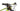 Scott Spark 930 2017 - SRAM XX1 - Aluminium