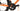 Orbea Orca M20iLTD 2025 - Shimano Ultegra Di2 2x12sp - Oquo RP45 LTD