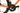 Orbea Orca M20iLTD 2025 - Shimano Ultegra Di2 2x12sp - Oquo RP45 LTD