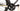 Scott Addict RC 10 2020 - SRAM Force AXS 2x12sp - Carbon