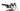 Orbea Wild FS H10 2022 - Shimano XT - DT Swiss H1900 Hybrid