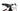 Specialized Epic Comp 2020 - SRAM X01 - Roval
