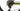 Scott Spark RC 900 World Cup 2020 - SRAM XX1 - DT Swiss XR 1700