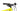 Cannondale Trail 8 2024 - microSHIFT Mezzo - WTB XS 16