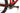 Scott Spark RC 900 Team 2020 - SRAM GX - Syncros Silverton 2.5