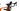 Storck Cyklaer 2023 - SRAM Force AXS 2x12sp - Aluminium