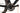 Pinarello Dogma F12 2023 - SRAM Red AXS - Campagnolo Bora WTO 45