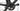 Pinarello Gan 2016 - Campagnolo Chorus - Campagnolo Bora One 35