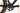 Canyon Inflite CF SL 2024 - Shimano GRX Di2 - Fulcrum Sharq GR