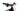 Orbea Rise SL M10 2025 - Shimano XT - Oquo MC32 Team