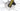 Cannondale SuperSix Evo 2021 - Shimano GRX - DT Swiss R470