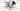 Ridley Noah 2025 - SRAM Rival AXS 2x12sp - DT Swiss A1800