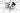 Ridley Noah 2025 - SRAM Rival AXS 2x12sp - DT Swiss A1800