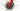 Trek Madone SLR 9 Disc 2020 - SRAM Red AXS 2x12sp - Bontrager Aeolus