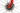 Trek Madone SLR 9 Disc 2020 - SRAM Red AXS 2x12sp - Bontrager Aeolus