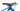 Berria Mako 2021 - Shimano SLX - RaceFace AR27