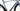 Bianchi Specialissima 2024 - Shimano Ultegra Di2 2x12sp - Shimano Dura-Ace C50