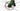 Wilier Rave SLR 2024 - Sram Force XPLR AXS 1x13sp - MICHE GRAFF XL