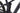 Simplon Rapcon 2023 - Shimano XT - DT Swiss H1900