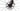 Specialized S-Works Tarmac SL8 2024 - Sram Red eTap AXS 2x12sp - Roval Rapide CLX II