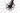 Specialized S-Works Tarmac SL8 2024 - Sram Red eTap AXS 2x12sp - Roval Rapide CLX II