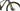 Scott Spark RC Team Issue 2024 - SRAM GX AXS 1x12sp - Aluminium