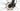 Cannondale Trail 8 2024 - microShift Mezzo - WTB SX19